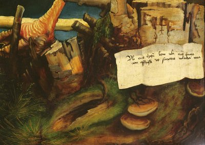 Detail van de verleiding van Sint Antonius van het Isenheim altaarstuk door Matthias Grünewald